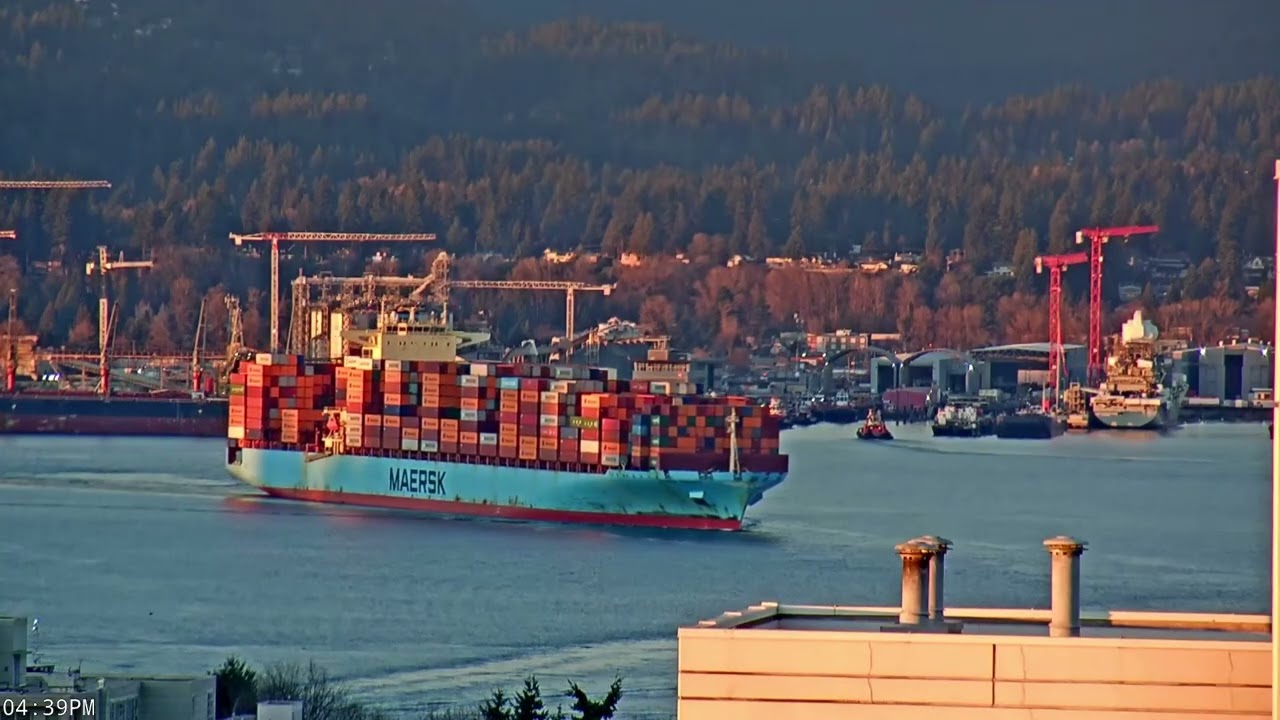 Full Cargo Giants at Sunset 🚢 Maersk Stepnica Arrives as Budapest Express Departs Vancouver Harbour