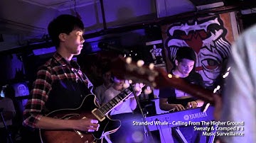 Calling From The Higher Ground - Stranded Whale  Part 3 at Sweaty & Cramped # 3