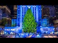 Rockefeller Center Christmas Tree Gets ‘Spruced Up’