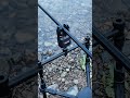 Even a kitten can’t resist the CUBE Bite Alarm 🐱🎣
