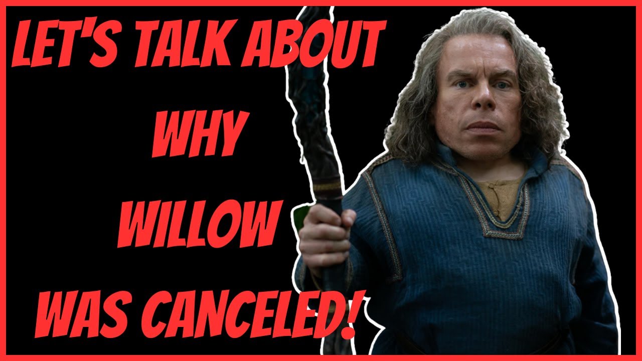 LET'S TALK ABOUT WHY WILLOW WAS CANCELED! - YouTube