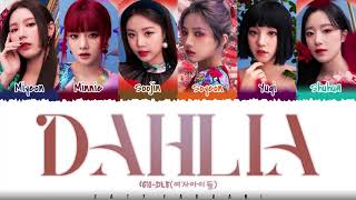 (G)I-DLE - 'DAHLIA' Lyrics [Color Coded_Han_Rom_Eng] Resimi