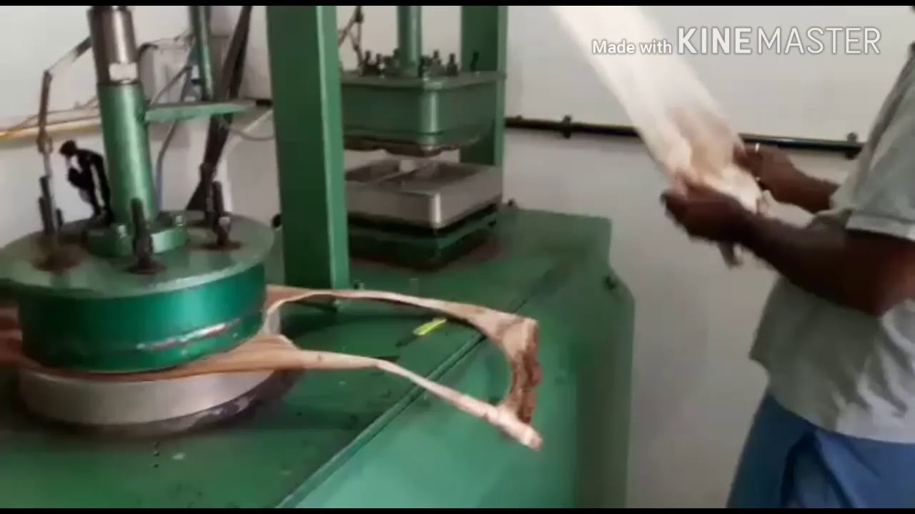Areca Palm Leaf Plate Making YouTube areca-palm-leaf-plate-making-youtube
