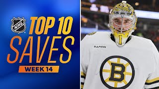 Top 10 Saves from Week 14 | 2023-24 NHL Season
