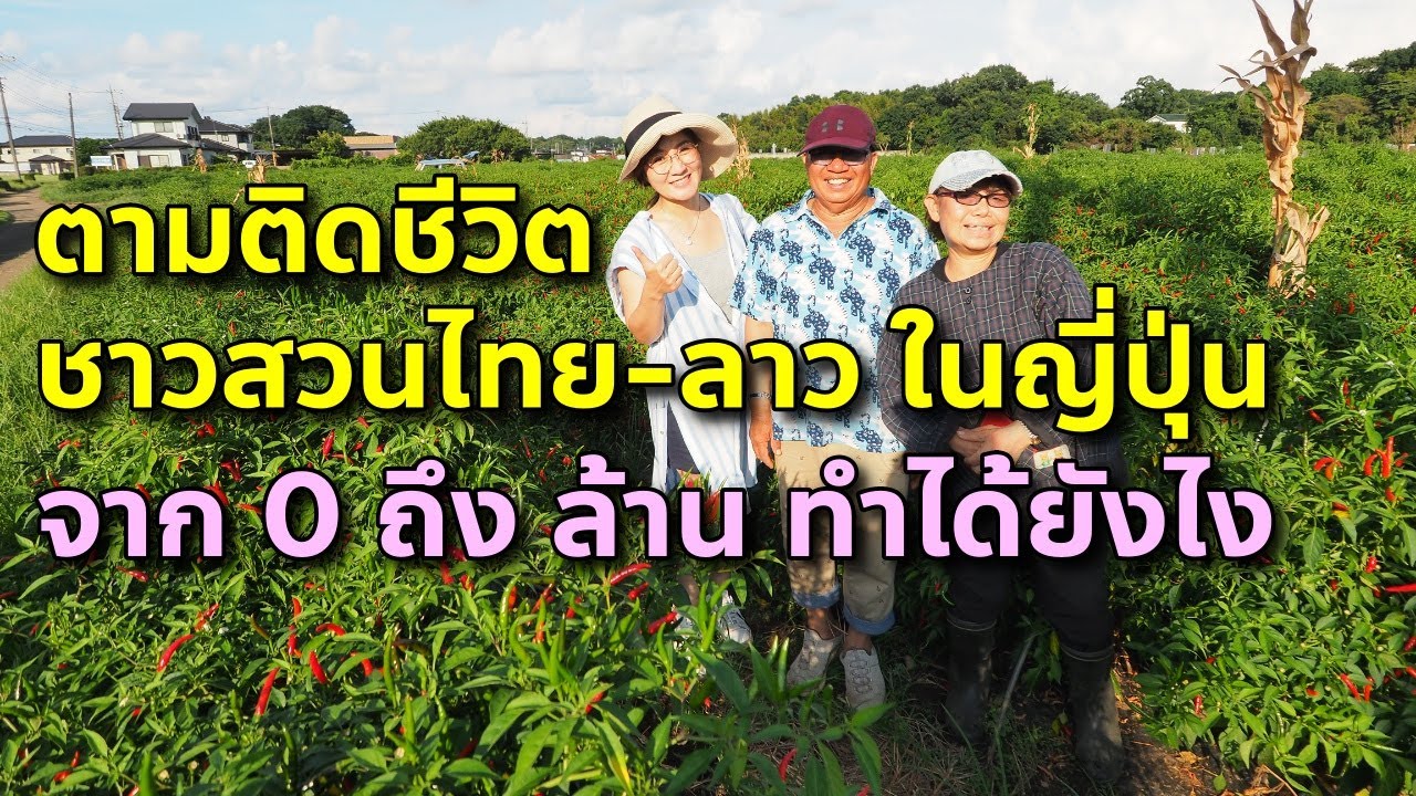 สาวลาวบ่าวไทย ผู้พลิกดินให้เป็นดาว ผักไทยสู่ครัวญี่ปุ่น ทำได้อย่างไร กับ ไร่ศตพล Satapol farm Japan