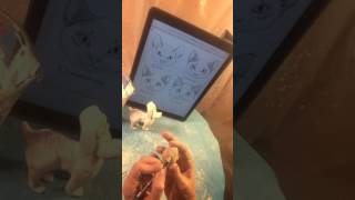 Clay Making a Cat's Head