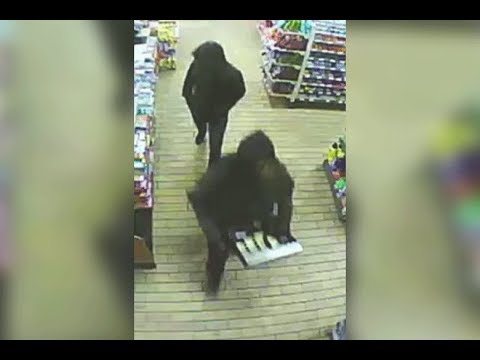 Commercial Robbery 5800 Rising Sun Ave DC 19 02 009855