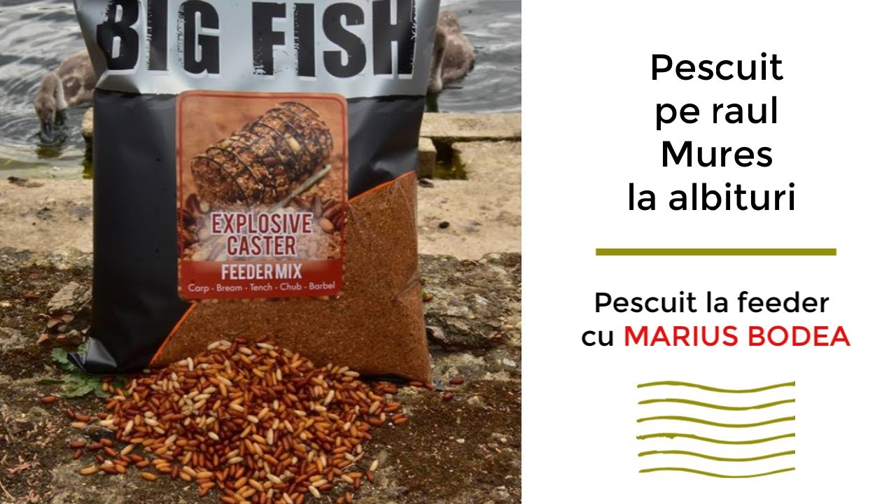 Pescuit pe raul Mures la albituri