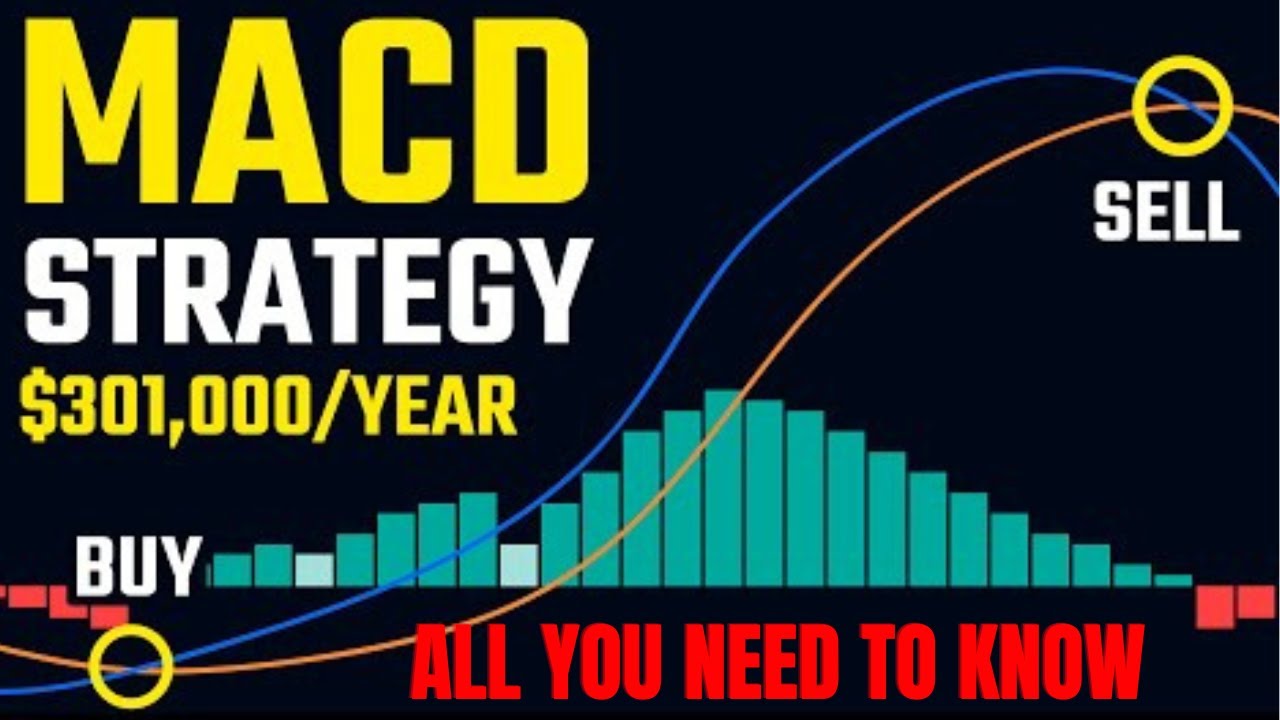 MACD Trading Strategy || All You Need To Know About The MACD Indicator ...