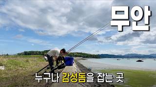 감성돔 잡기가 이렇게 쉬운거였어? (무안 원투낚시)