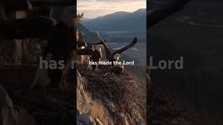 When You Need Peace, Listen To This — Psalm 91