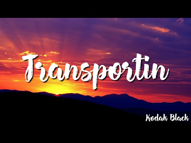 TRANSPORTIN -   Kodak Black  ( Lyrics) class=