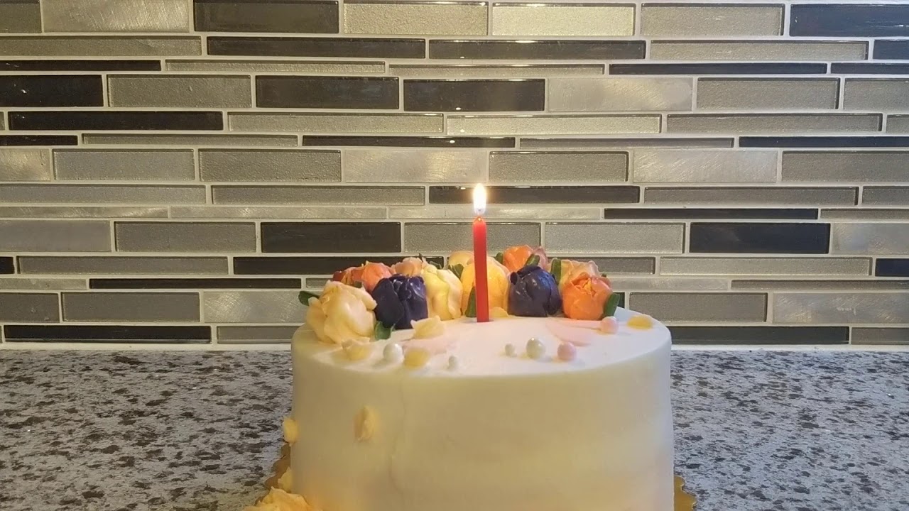 Happy Birthday Cake with One Candle