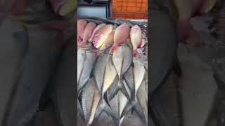 Meen Mart manjeri