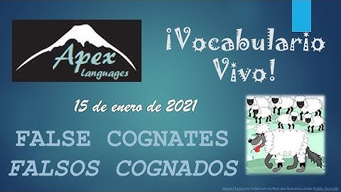 Vocabulario Vivo: FALSE COGNATES, part I