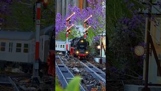 🚂 Elegant Piko BR50 Steam Passenger Train in the Garden Railway! | Classic German Steam Action