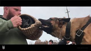 DNA K9 Professional Military and Police Decoy School