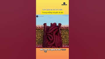 Cách mà người dân giúp lạc đà tích nước  #khoahọc #kiếnthứcmới