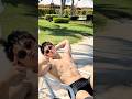 Boys | BL video | Asian Men | #body #boy #boyfriend #gay #bl #tiktok #trending #asian #shorts #fyp