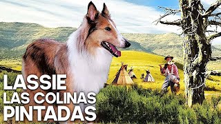 Lassie  Las colinas pintadas | Película de Navidad | La familia | Español | Viejo Oeste