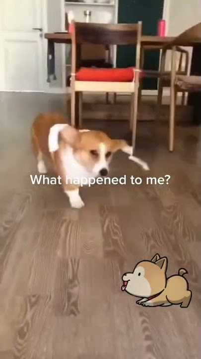 short #shortvideo #shorts #shortsvideo #greenscreenvideo what happened to me? #funnyd...