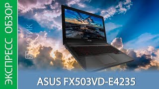 Экспресс-обзор ноутбука ASUS FX503VD E4235