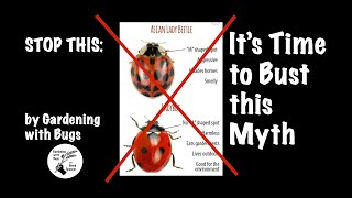 Myth Busting: Ladybug vs Lady Beetle by Gardening with Bugs 6,905 views 1 year ago 12 minutes, 56 seconds