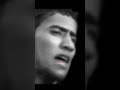 جم لوعه ومصيبه مرت بالغريبه ستوريات حسينيه لايك ترند السيده زينب ع يازينب دعاء Funny جم لوعه ومصيبه مرت بالغريبه ستوريات حسينيه لايك ترند السيده زينب ع يازينب دعاء Funny