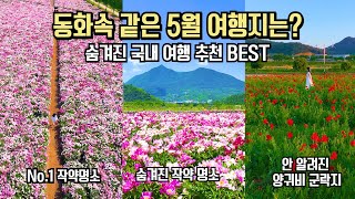 국내 여행 추천 놓치면 후회할 5월 봄 하이라이트 여행 명소 BEST 8