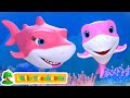New Baby Shark Song | Sing & Dance for Kids | Nursery Rhymes & Baby Song | Little Treehouse Cartoon