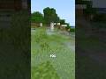 You’ve Never Seen Minecraft Look This Good Before #minecraft