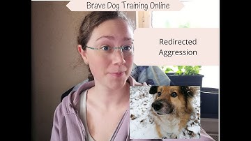 Mistakes that trigger REDIRECTED aggression