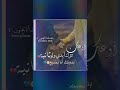 ايدك رفقه ايدي حالات واتس اب