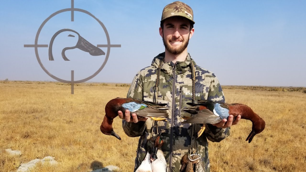 CALIFORNIA CINNAMONS! CA Public Land Refuge Duck Hunt | 11-14-18