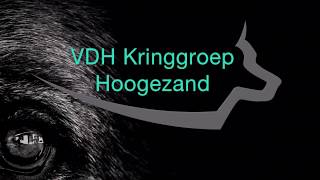 Noorder Clubmatch - Mittwochschau 2019