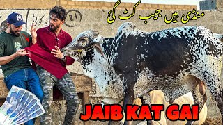 COW MANDI MAI JAIB KAT GAI 😭 | QURBANI K PESE CHORI HOGAE | MISHKAT KHAN