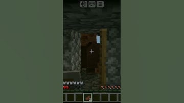 WTh....☠️❓ #minecraft  #gaming  #viralshorts #memes