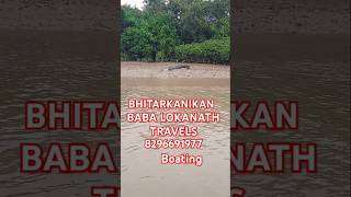 Viral Crocodile Baba Lokanath Travels Boat