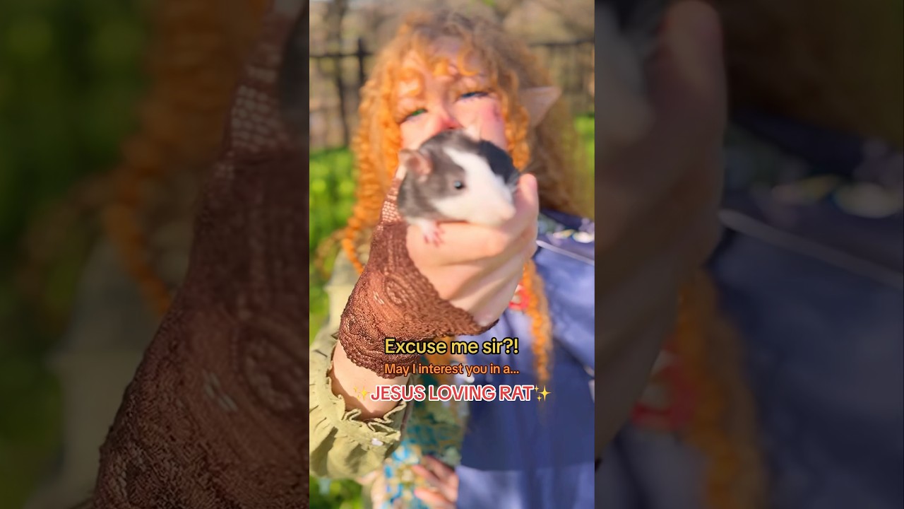 May I Interest you in a Rat? 🐀 ✞ 🔜Planet Comic Con Kansas City