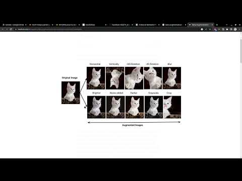 Video 101/160 - More data with Data Augmentation