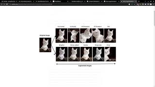 - More data with Data Augmentation