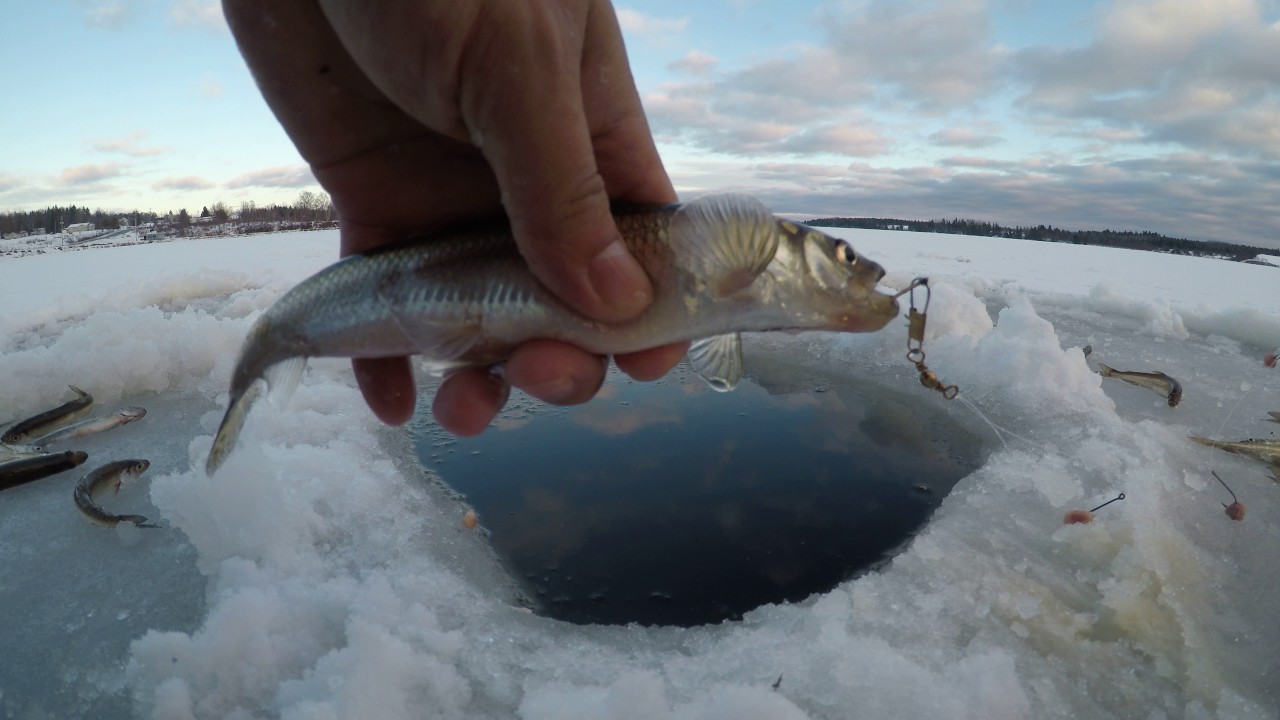 Ice Fishing Smelt dec 23, 2016 (part 2) YouTube