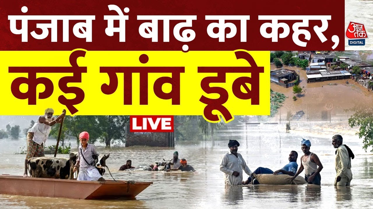 Punjab Floods Live Updates: Punjab में बाढ़ से हाहाकार, 12 जिलों में बाढ़ ने मचाई तबाही | Aaj tak