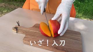 マンゴーの切り方