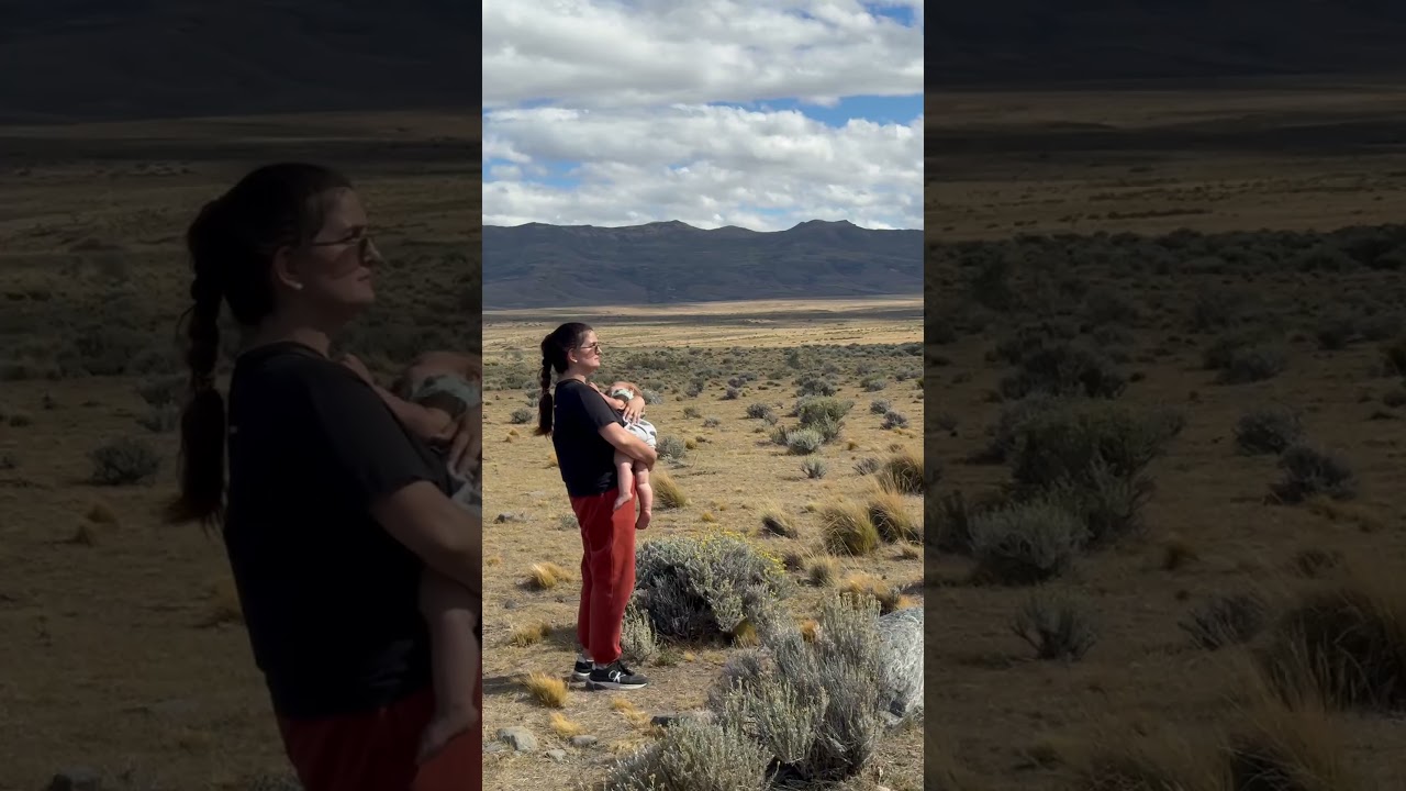 Красоты в суровом Эль-Калафате!