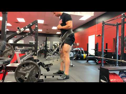 Belt Squat RDL