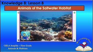 Celebrity Knowledge 8 Ls 8 Saltwater Habitat Profile