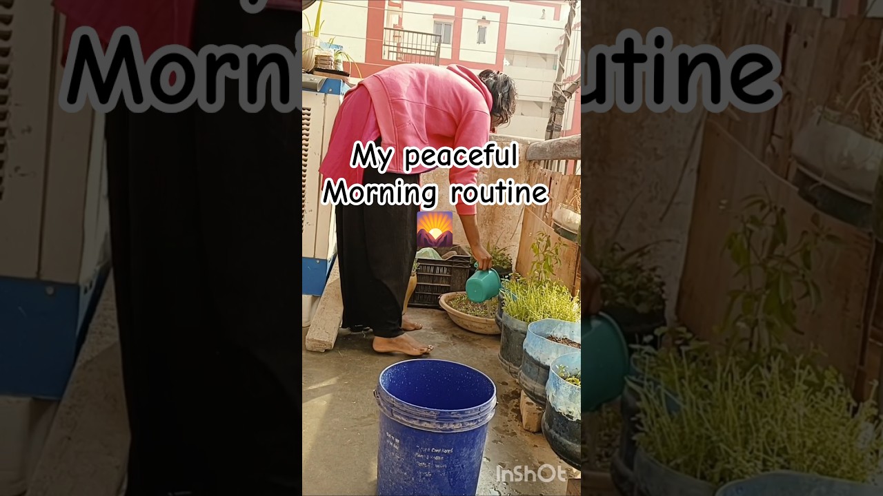 ,✨a peaceful morning 🌄