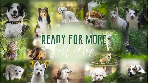 Ready for More | FULL MEP