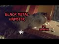 Black Metal Hamster: Falling Down